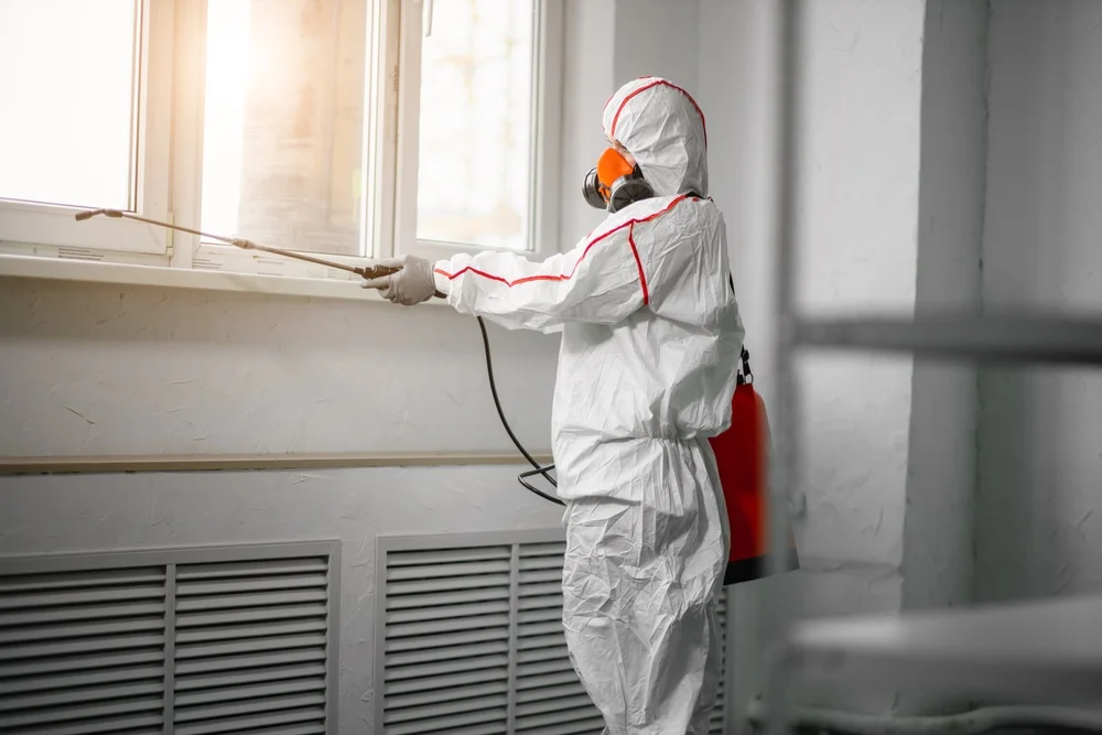 Professional mold remediation services in Glendora, NJ